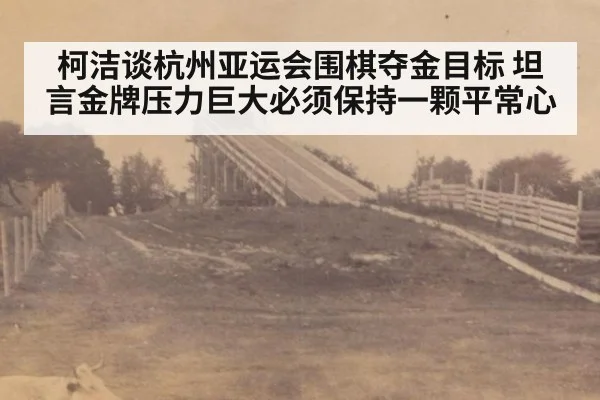 柯洁谈杭州亚运会围棋夺金目标 坦言金牌压力巨大必须保持一颗平常心
