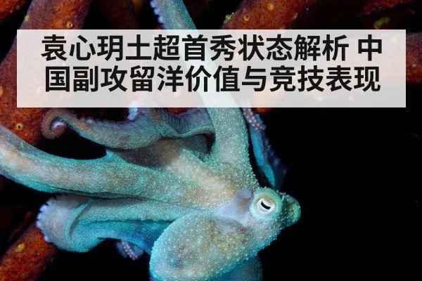 袁心玥土超首秀状态解析 中国副攻留洋价值与竞技表现